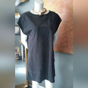 Wilfred Free Faux Suede Mini Dress